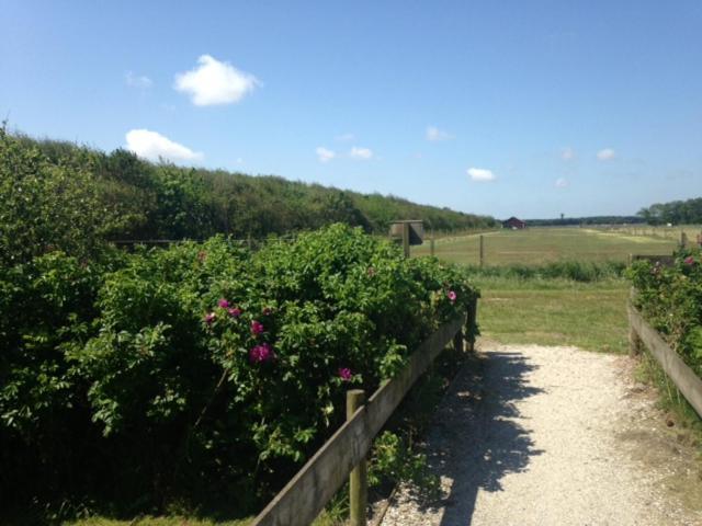 Buiten De Duinen Buren  Exterior photo
